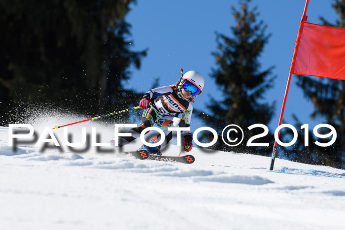Ziener Cup WF, RS, 24.02.2019