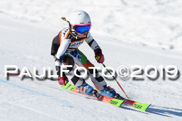 Ziener Cup WF, RS, 24.02.2019