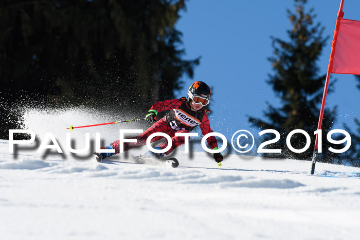 Ziener Cup WF, RS, 24.02.2019