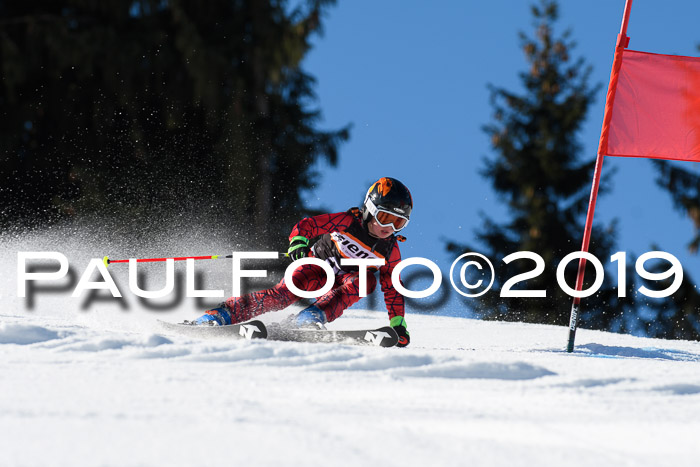 Ziener Cup WF, RS, 24.02.2019