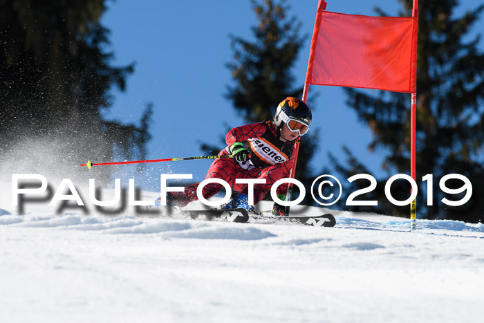Ziener Cup WF, RS, 24.02.2019