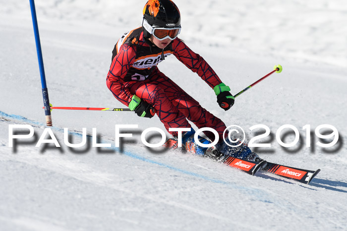 Ziener Cup WF, RS, 24.02.2019