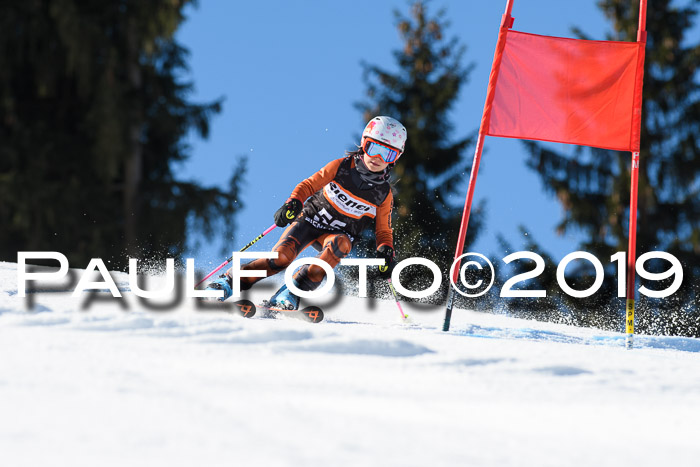 Ziener Cup WF, RS, 24.02.2019