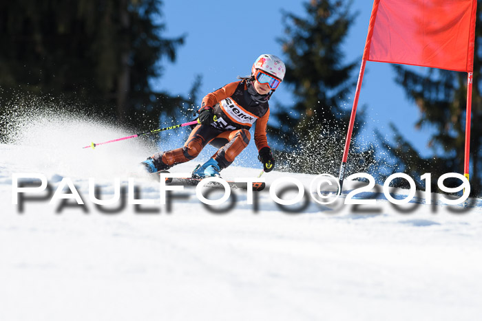 Ziener Cup WF, RS, 24.02.2019