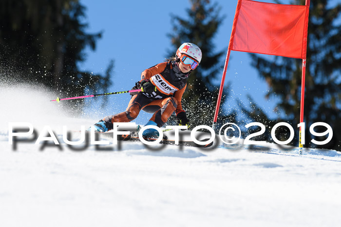 Ziener Cup WF, RS, 24.02.2019