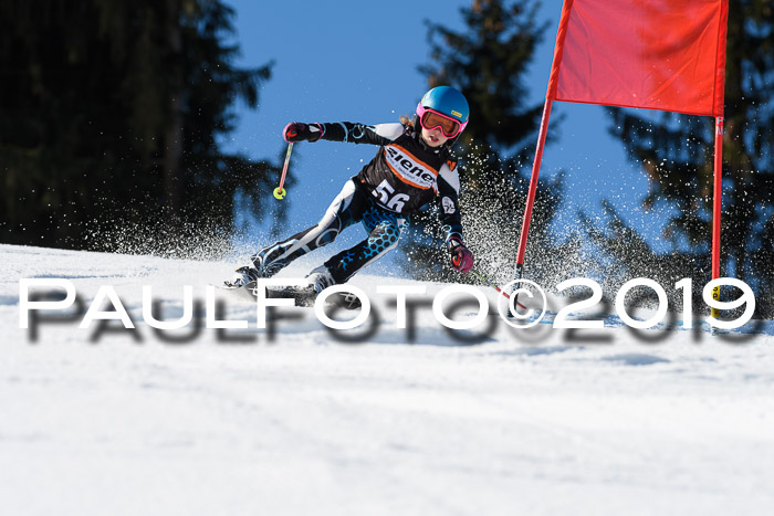Ziener Cup WF, RS, 24.02.2019