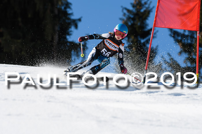 Ziener Cup WF, RS, 24.02.2019