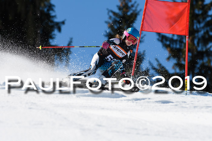 Ziener Cup WF, RS, 24.02.2019