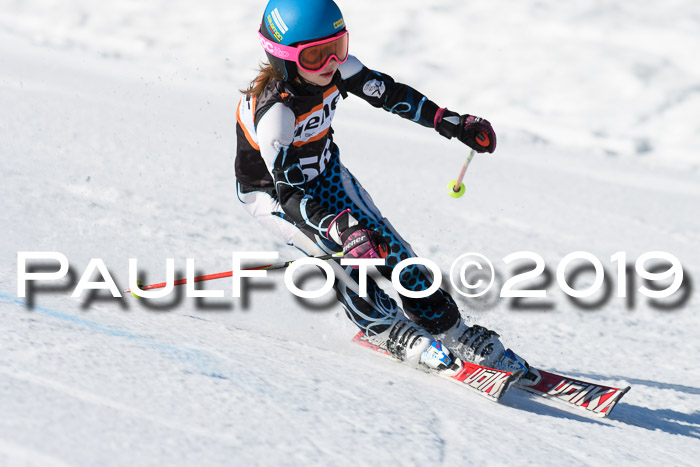 Ziener Cup WF, RS, 24.02.2019