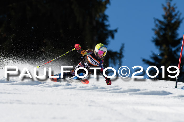 Ziener Cup WF, RS, 24.02.2019