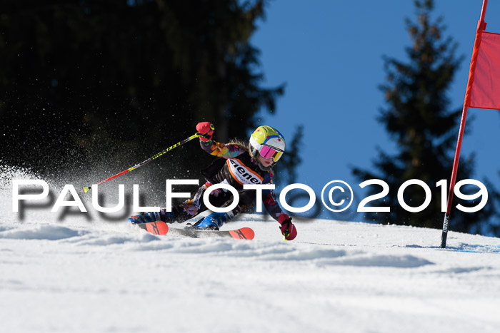 Ziener Cup WF, RS, 24.02.2019