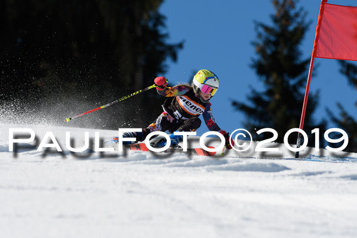 Ziener Cup WF, RS, 24.02.2019