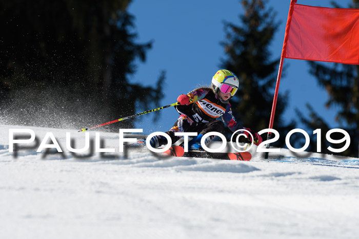 Ziener Cup WF, RS, 24.02.2019
