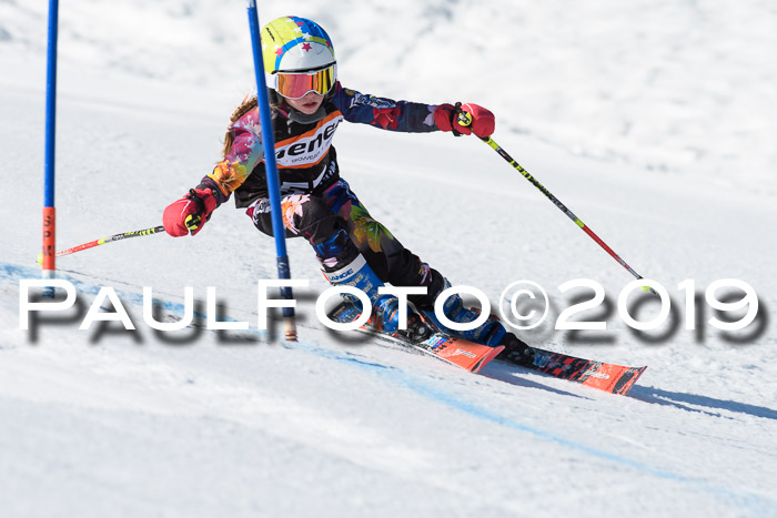 Ziener Cup WF, RS, 24.02.2019