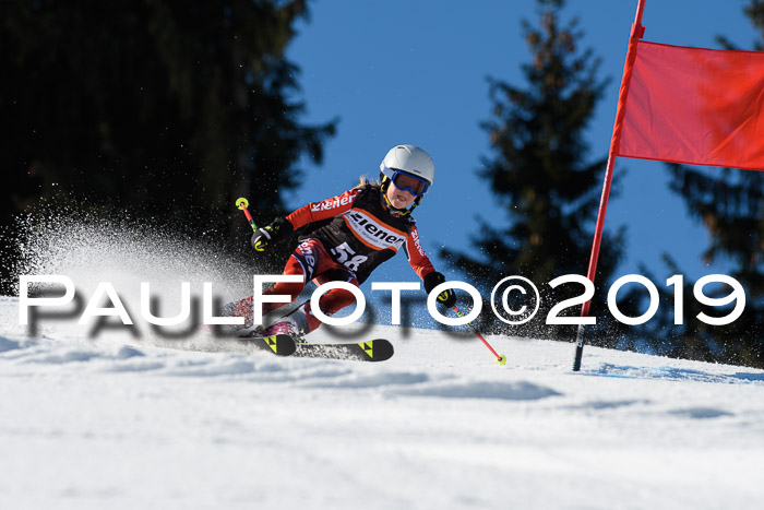 Ziener Cup WF, RS, 24.02.2019