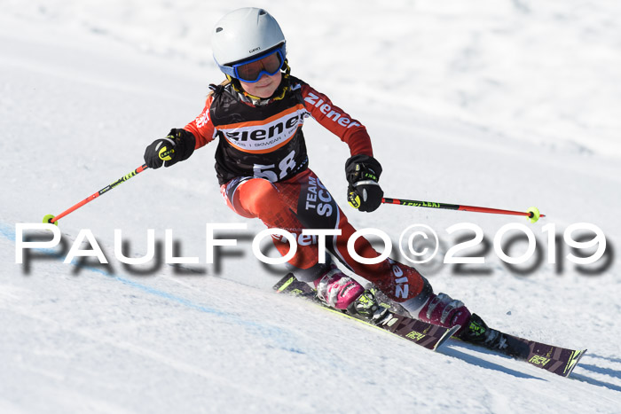 Ziener Cup WF, RS, 24.02.2019