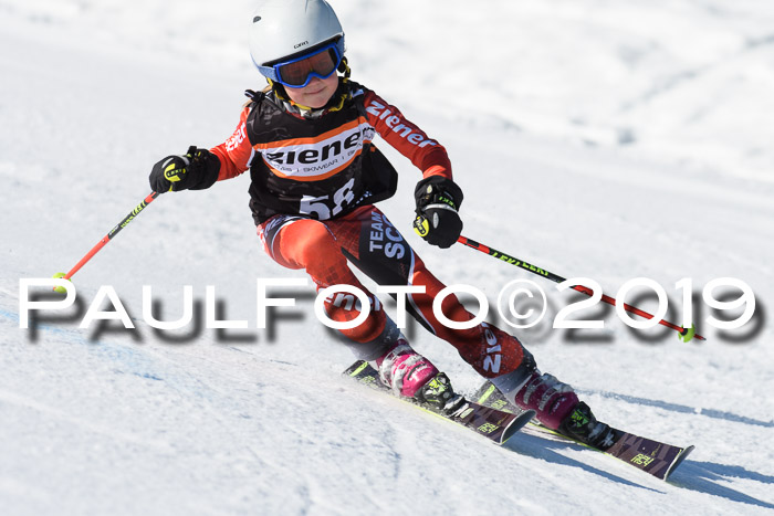 Ziener Cup WF, RS, 24.02.2019