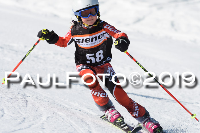 Ziener Cup WF, RS, 24.02.2019