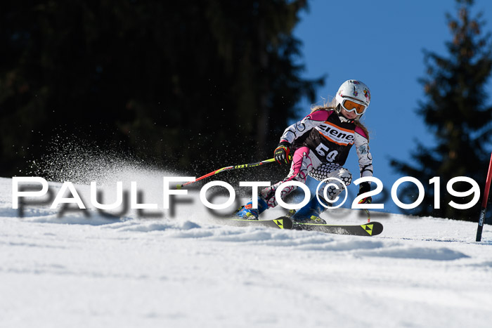 Ziener Cup WF, RS, 24.02.2019