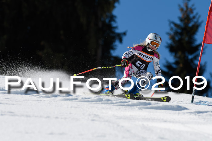 Ziener Cup WF, RS, 24.02.2019