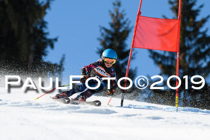 Ziener Cup WF, RS, 24.02.2019