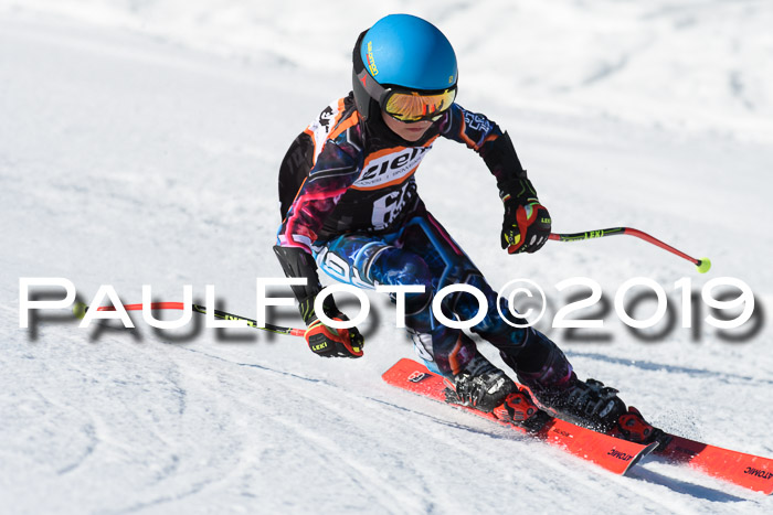 Ziener Cup WF, RS, 24.02.2019