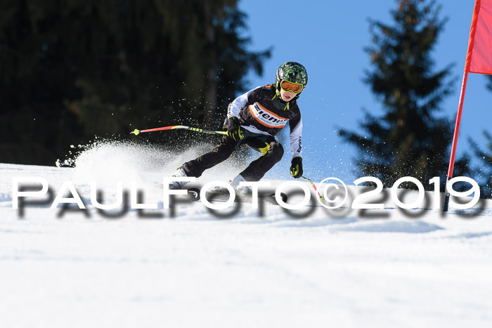Ziener Cup WF, RS, 24.02.2019