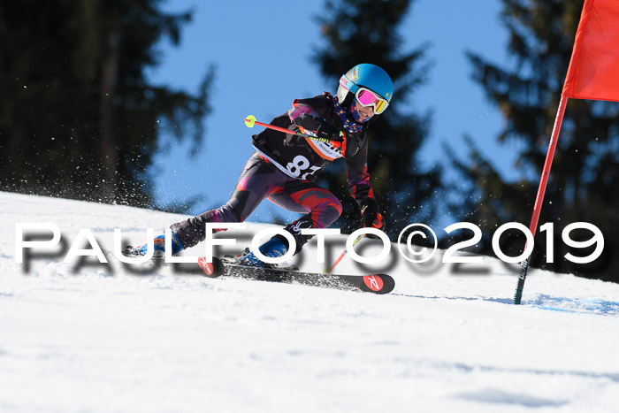 Ziener Cup WF, RS, 24.02.2019