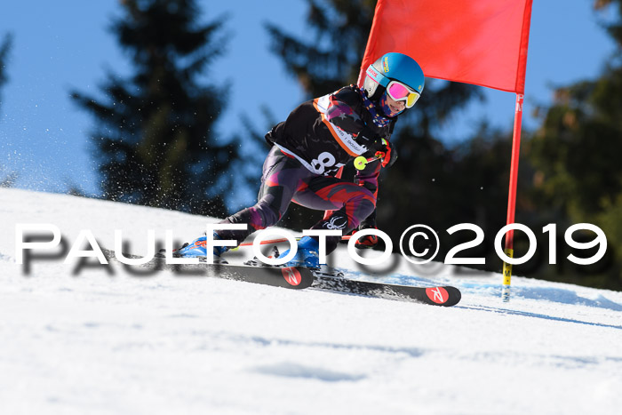 Ziener Cup WF, RS, 24.02.2019