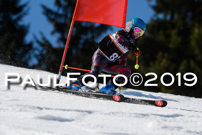 Ziener Cup WF, RS, 24.02.2019