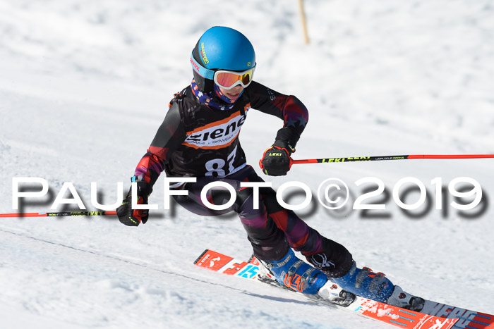 Ziener Cup WF, RS, 24.02.2019