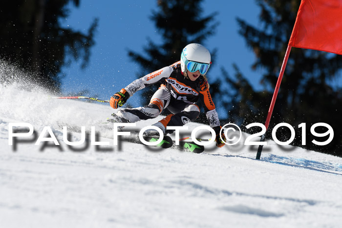 Ziener Cup WF, RS, 24.02.2019