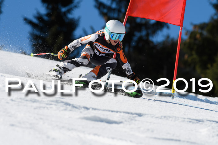 Ziener Cup WF, RS, 24.02.2019