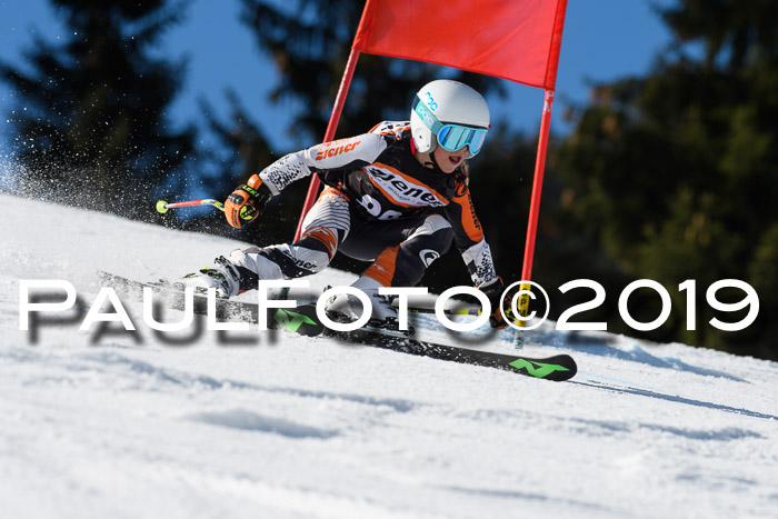 Ziener Cup WF, RS, 24.02.2019