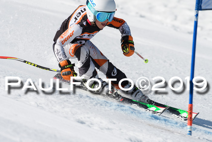 Ziener Cup WF, RS, 24.02.2019