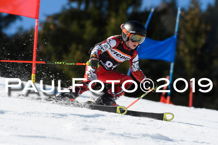 Ziener Cup WF, RS, 24.02.2019