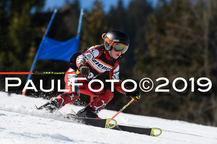 Ziener Cup WF, RS, 24.02.2019