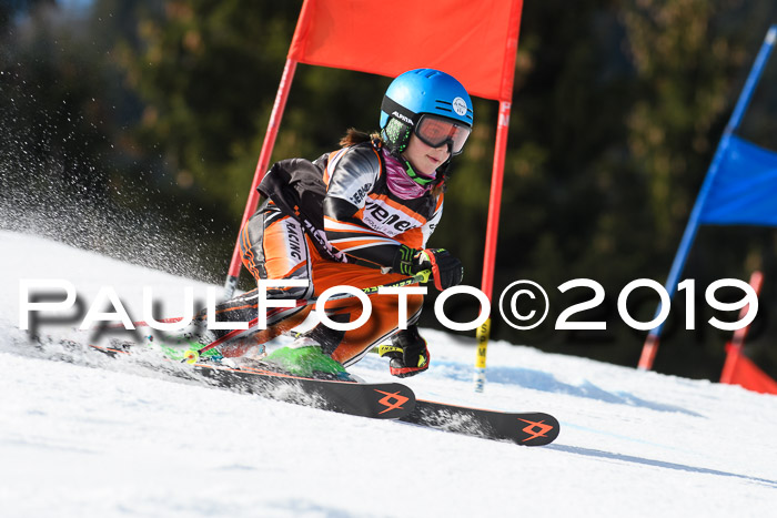 Ziener Cup WF, RS, 24.02.2019