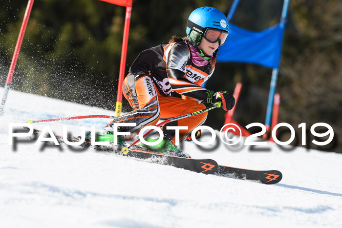 Ziener Cup WF, RS, 24.02.2019