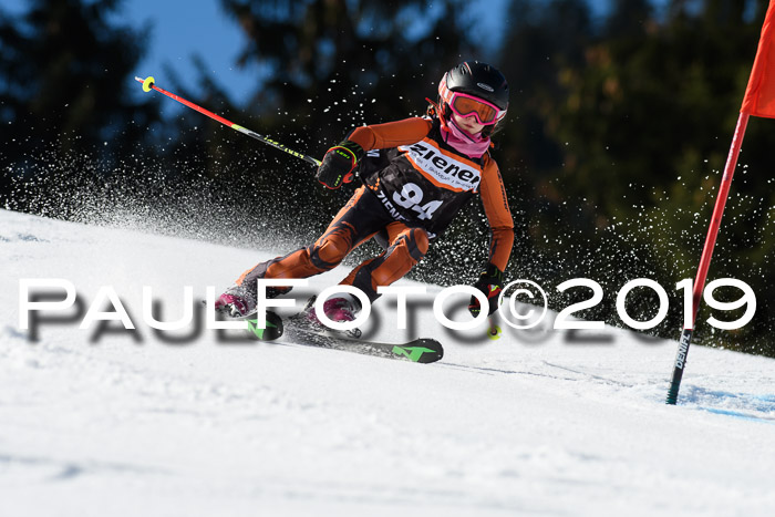 Ziener Cup WF, RS, 24.02.2019