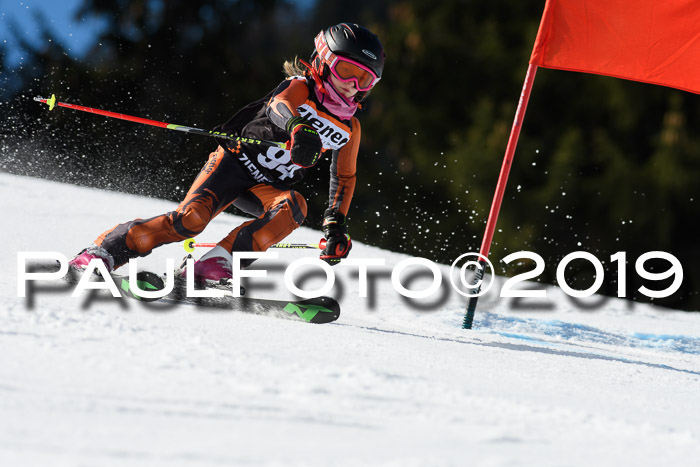 Ziener Cup WF, RS, 24.02.2019