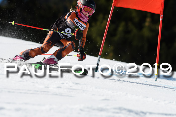 Ziener Cup WF, RS, 24.02.2019