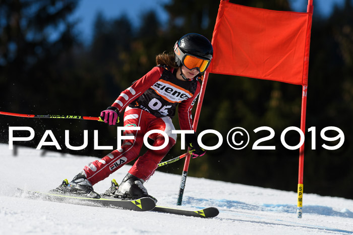 Ziener Cup WF, RS, 24.02.2019
