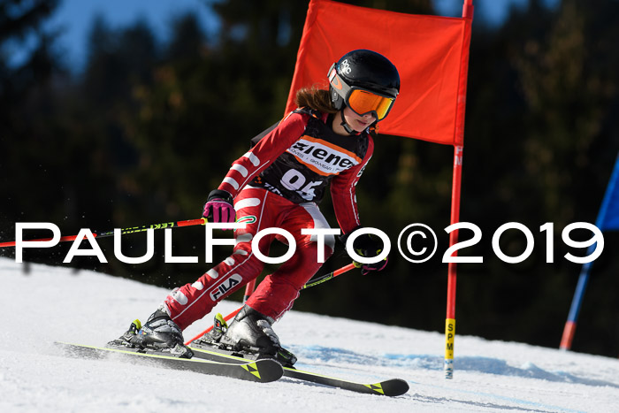 Ziener Cup WF, RS, 24.02.2019
