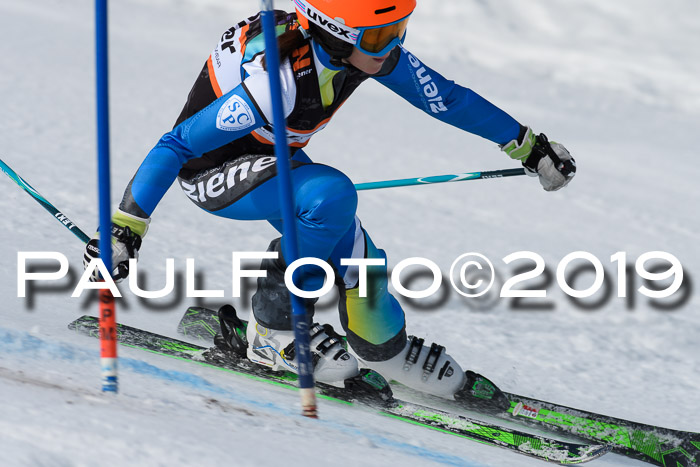 Ziener Cup WF, RS, 24.02.2019