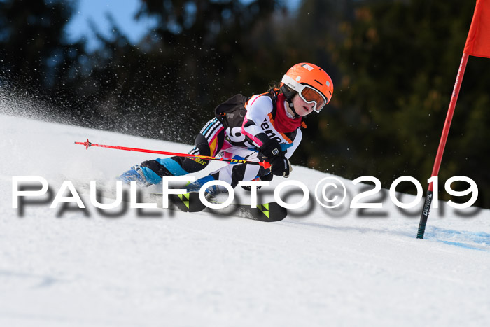 Ziener Cup WF, RS, 24.02.2019