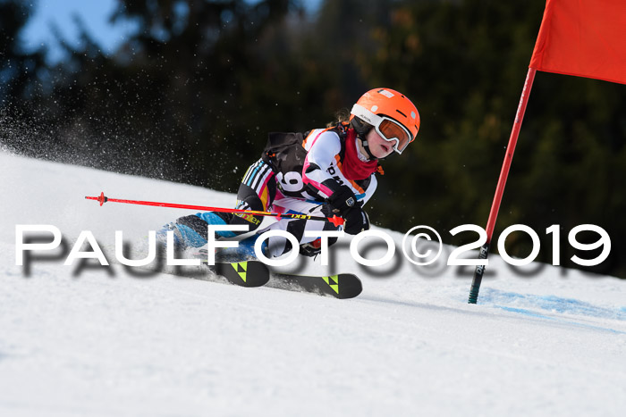 Ziener Cup WF, RS, 24.02.2019