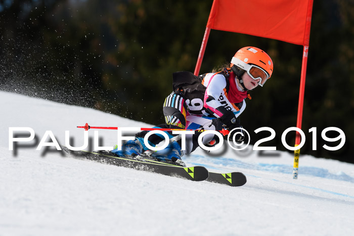 Ziener Cup WF, RS, 24.02.2019