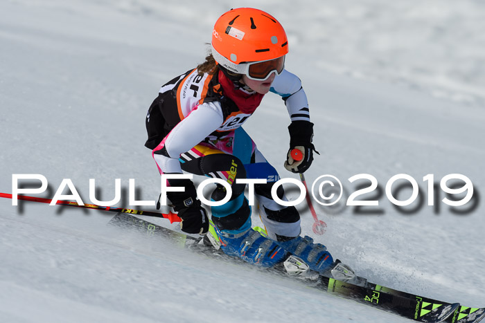 Ziener Cup WF, RS, 24.02.2019
