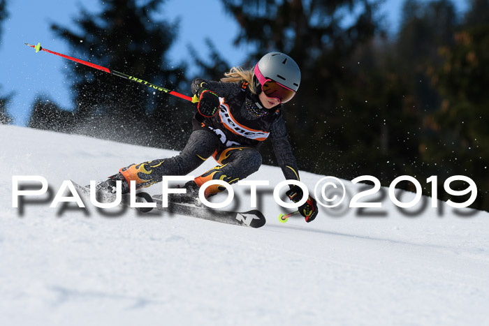 Ziener Cup WF, RS, 24.02.2019
